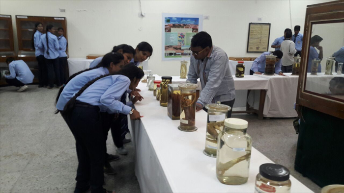 Educational visit of B.Sc student CBZ 1st year at Zoological survey of India