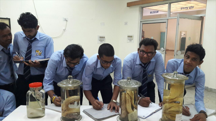 Educational visit of B.Sc student CBZ 1st year at Zoological survey of India